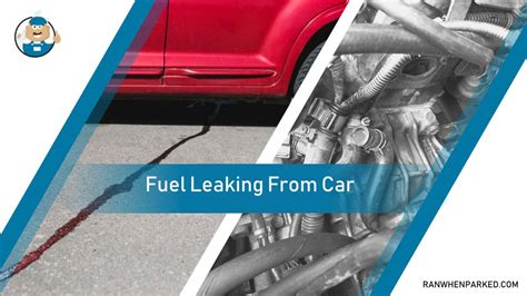 car leaking petrol|Fuel Leaking From Your Car: Common Causes and Fixes